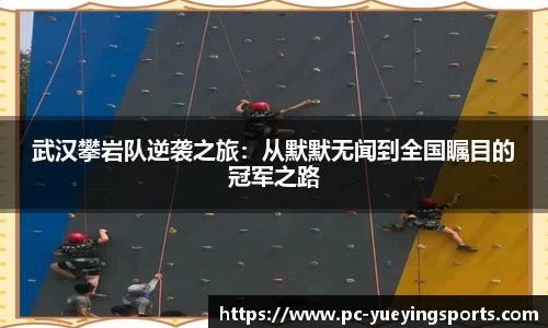 悦盈体育APP